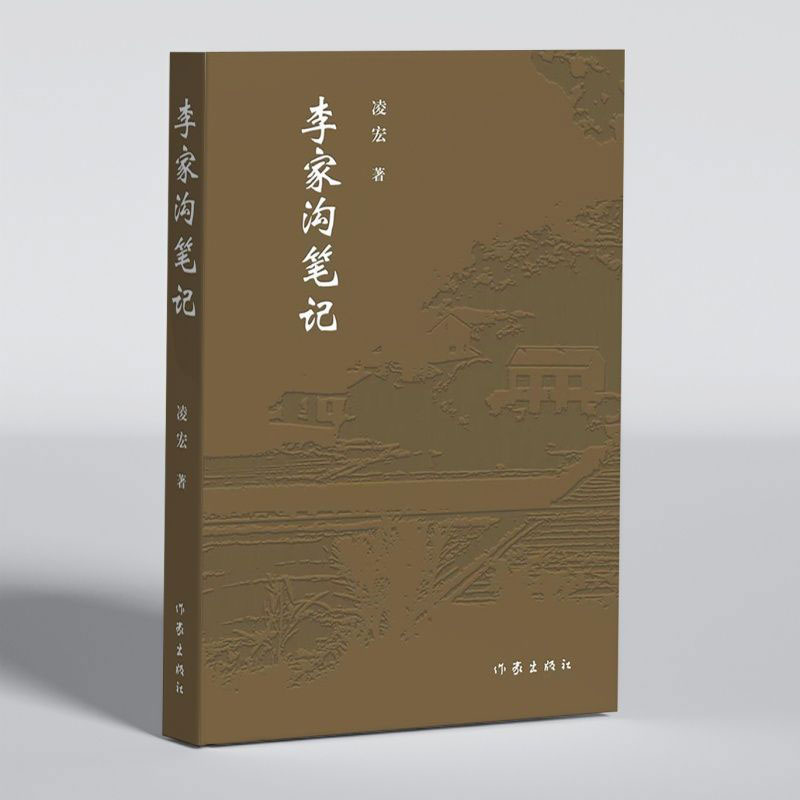 李家沟笔记
